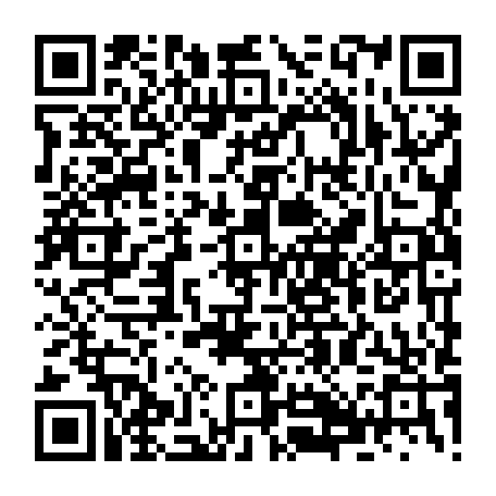 79631118808