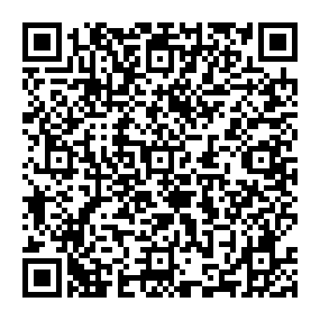 79631119211
