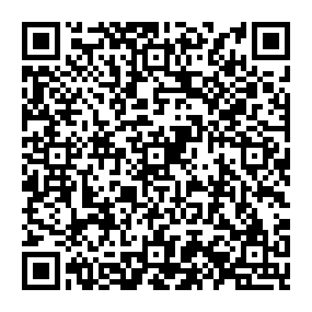 79631153339