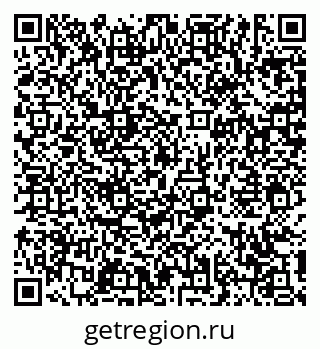 79631175981