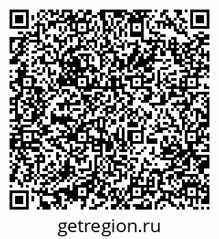 79631200411