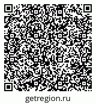 79631204101