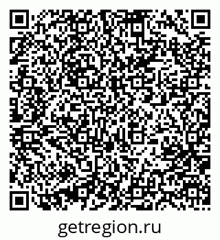 79631204881