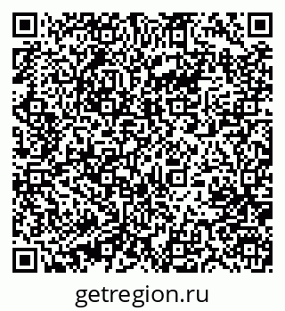 79631205204