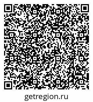 79631206658