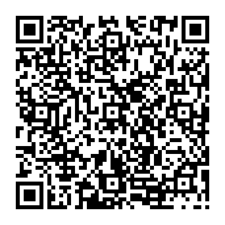 79631273855