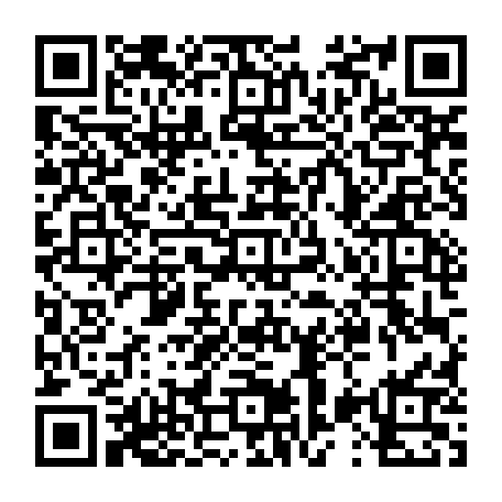 79631278558