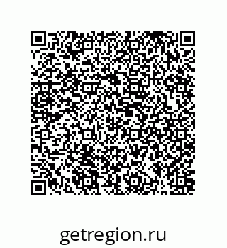 79631300411