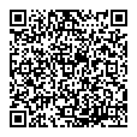79631530304