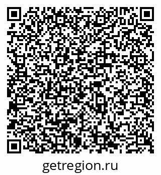79631541381