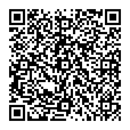 79631550054