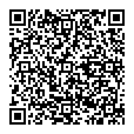 79631551538