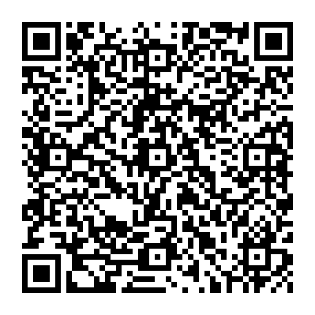79631551771