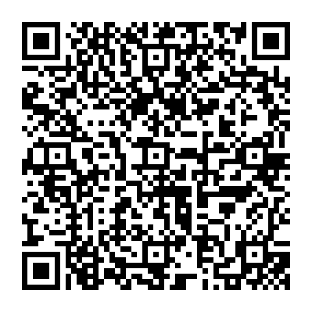 79631553117
