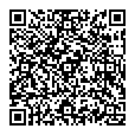 79631554541