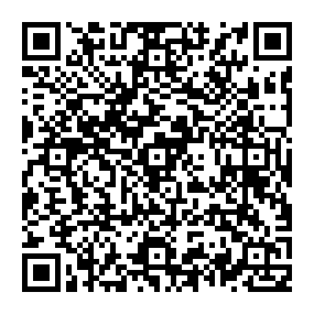 79631554551
