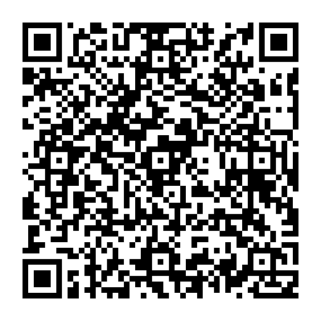 79631554631