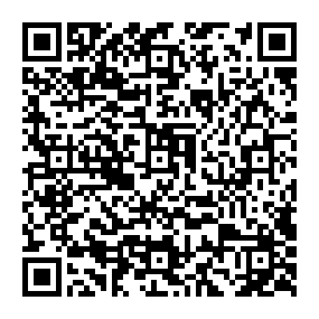 79631554677