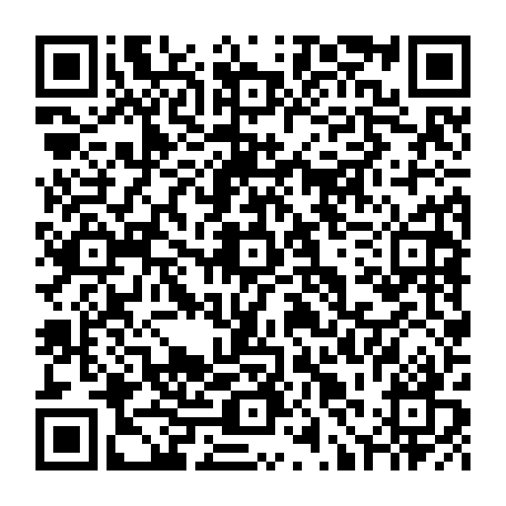 79631554685