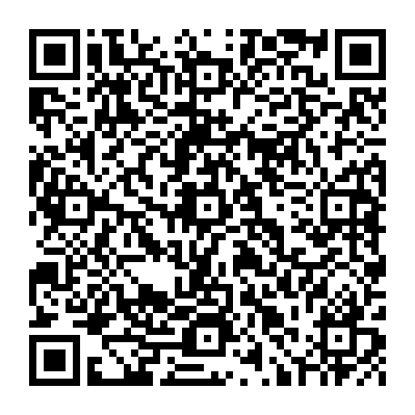 79631554736