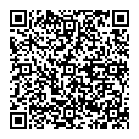 79631554788
