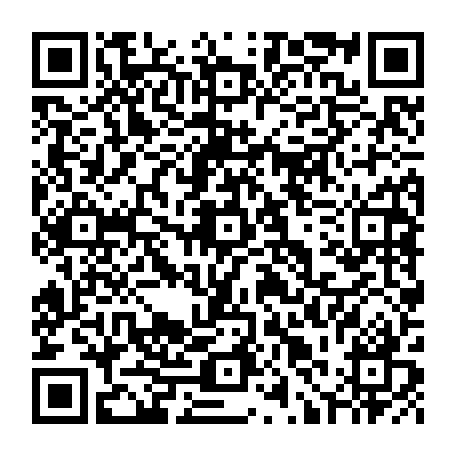 79631555165