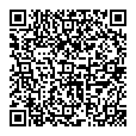 79631555218