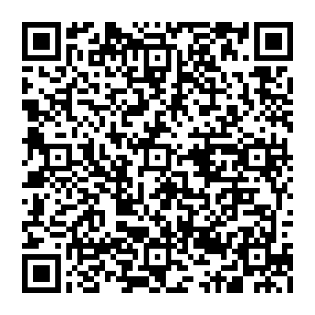 79631555290