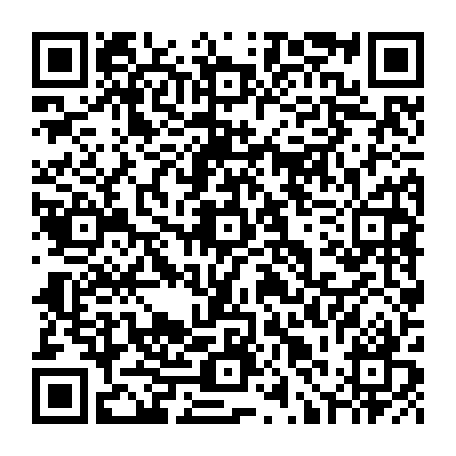 79631555323