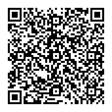79631555336