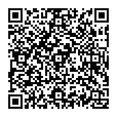 79631555338
