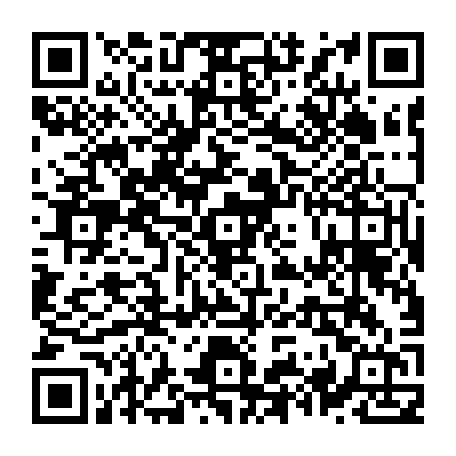 79631555344