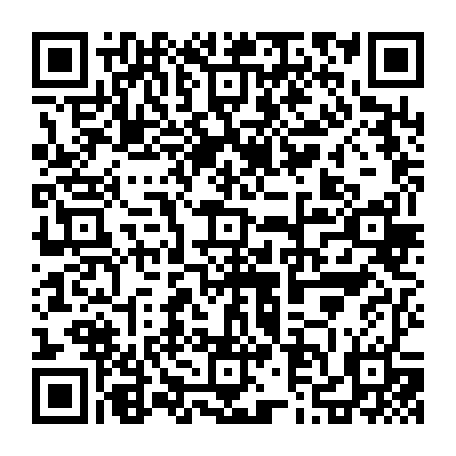 79631555378