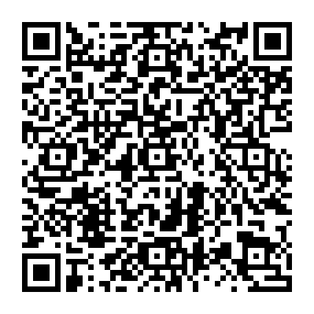 79631555381