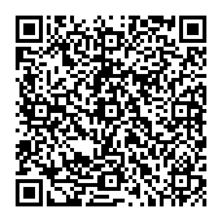 79631555385