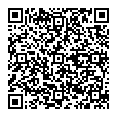 79631555419