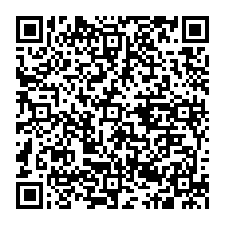79631555516