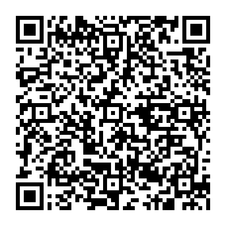 79631555517