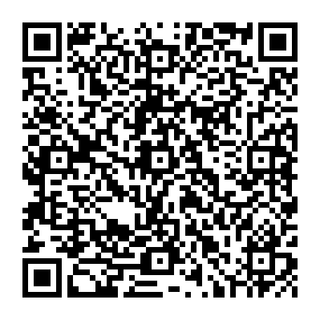 79631555684