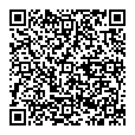 79631556029