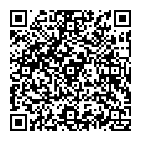 79631556049