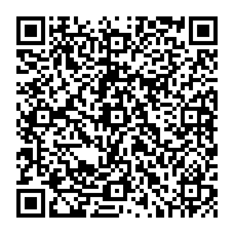 79631556064
