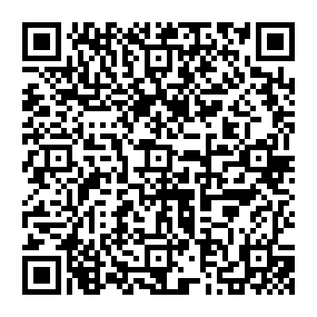 79631556146