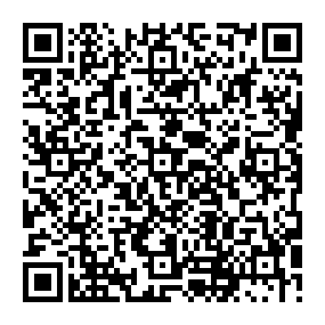 79631556168