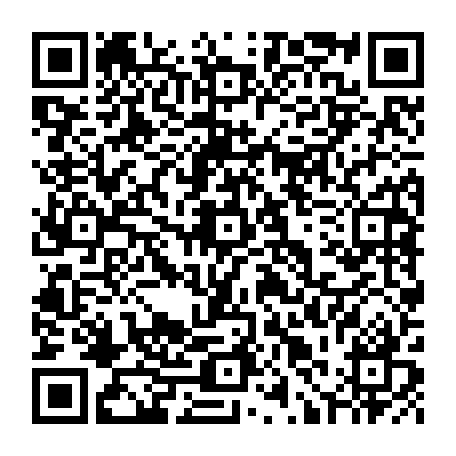 79631556175