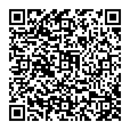 79631556211