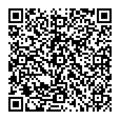 79631556229
