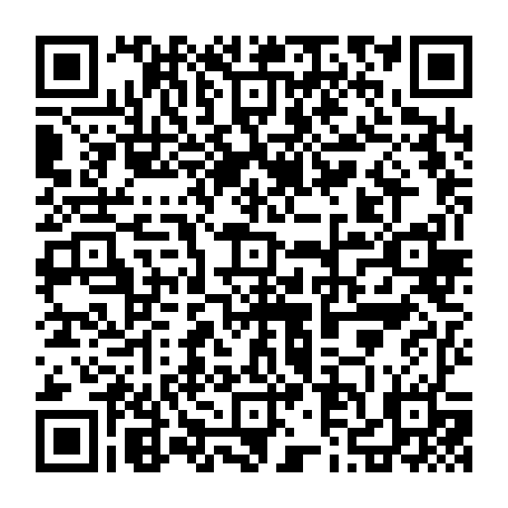 79631556236