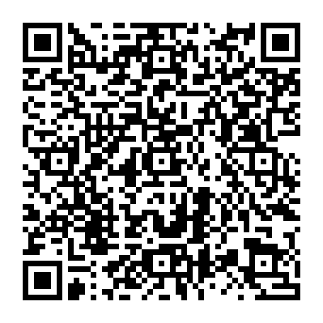 79631556292