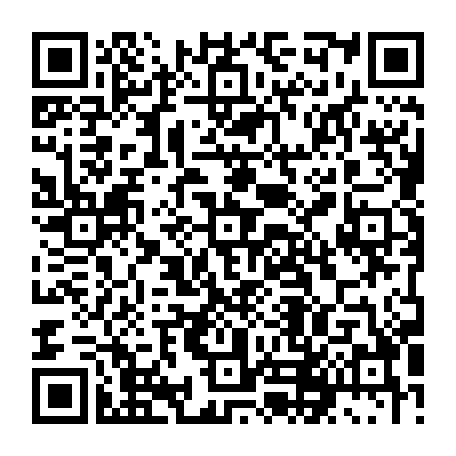 79631556294